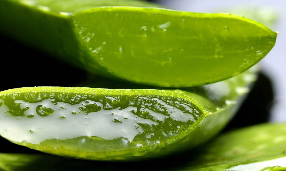 aloe vera for sunburn